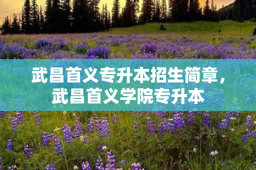 武昌首义专升本招生简章，武昌首义学院专升本