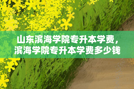 山东滨海学院专升本学费，滨海学院专升本学费多少钱