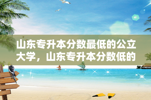山东专升本分数低的公立大学，山东专升本分数低的学校