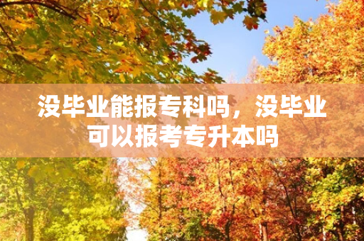 没毕业能报专科吗，没毕业可以报考专升本吗