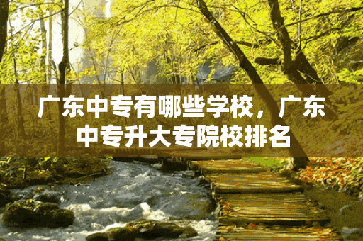 广东中专有哪些学校，广东中专升大专院校排名