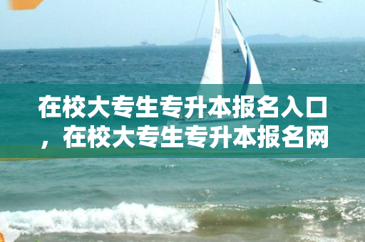 在校大专生专升本报名入口，在校大专生专升本报名网站