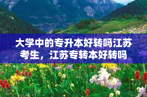 大学中的专升本好转吗江苏考生，江苏专转本好转吗