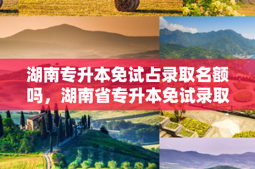 湖南专升本免试占录取名额吗，湖南省专升本免试录取政策是直接升为大学本科学历吗