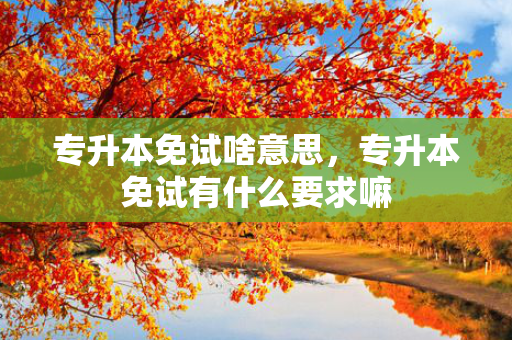 专升本免试啥意思，专升本免试有什么要求嘛