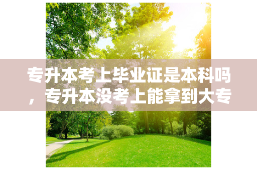 专升本考上毕业证是本科吗，专升本没考上能拿到大专毕业证吗