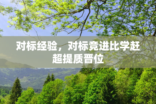 对标经验，对标竞进比学赶超提质晋位