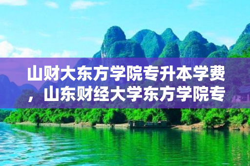 山财大东方学院专升本学费，山东财经大学东方学院专升本怎么样