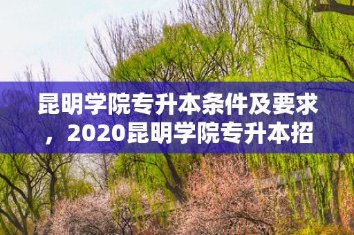 昆明学院专升本条件及要求，2020昆明学院专升本招生简章