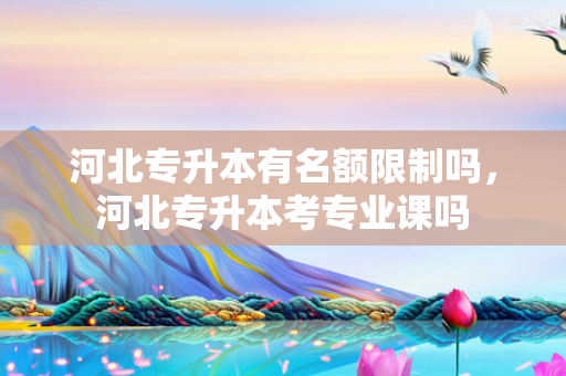 河北专升本有名额限制吗，河北专升本考专业课吗