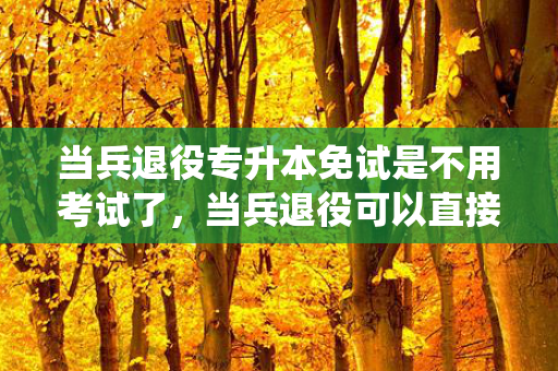 当兵退役专升本免试是不用考试了，当兵退役可以直接专升本吗