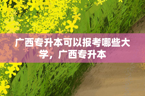 广西专升本可以报考哪些大学，广西专升本
