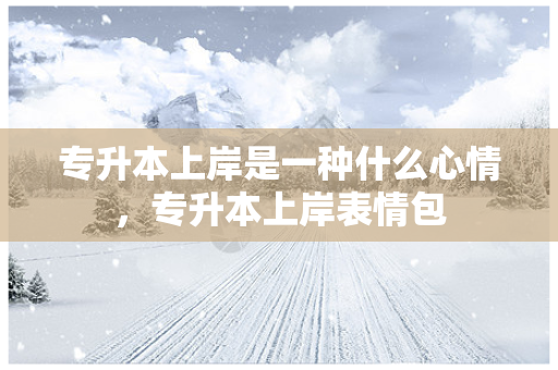 专升本上岸是一种什么心情，专升本上岸表情包