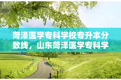 菏泽医学专科学校专升本分数线，山东菏泽医学专科学校