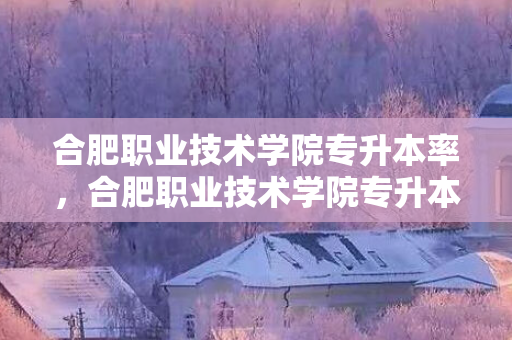 合肥职业技术学院专升本率，合肥职业技术学院专升本通过率