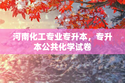 河南化工专业专升本，专升本公共化学试卷