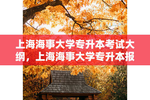 上海海事大学专升本考试大纲，上海海事大学专升本报录比