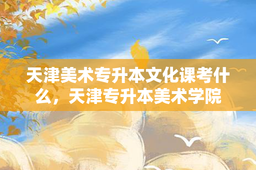 天津美术专升本文化课考什么，天津专升本美术学院