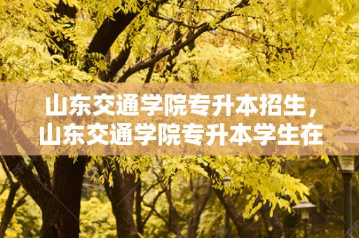 山东交通学院专升本招生，山东交通学院专升本学生在哪个校区