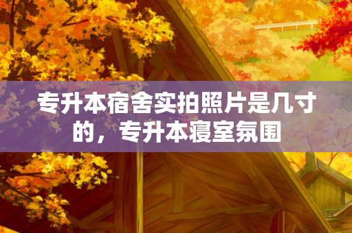 专升本宿舍实拍照片是几寸的，专升本寝室氛围