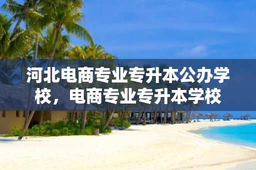 河北电商专业专升本公办学校，电商专业专升本学校