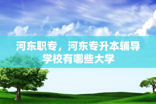 河东职专，河东专升本辅导学校有哪些大学