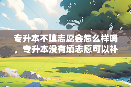 专升本不填志愿会怎么样吗，专升本没有填志愿可以补录吗