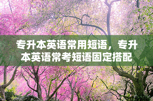 专升本英语常用短语，专升本英语常考短语固定搭配