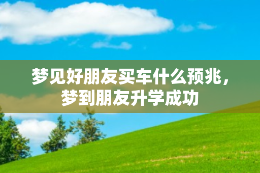 梦见好朋友买车什么预兆，梦到朋友升学成功