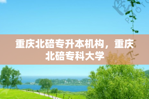 重庆北碚专升本机构，重庆北碚专科大学
