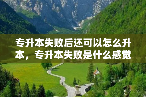 专升本失败后还可以怎么升本，专升本失败是什么感觉