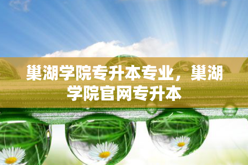巢湖学院专升本专业，巢湖学院官网专升本