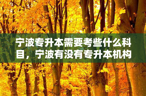 宁波专升本需要考些什么科目，宁波有没有专升本机构