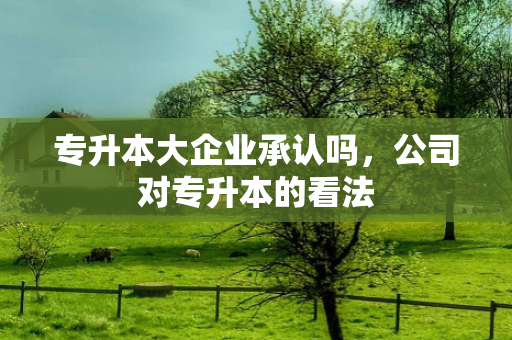 专升本大企业承认吗，公司对专升本的看法