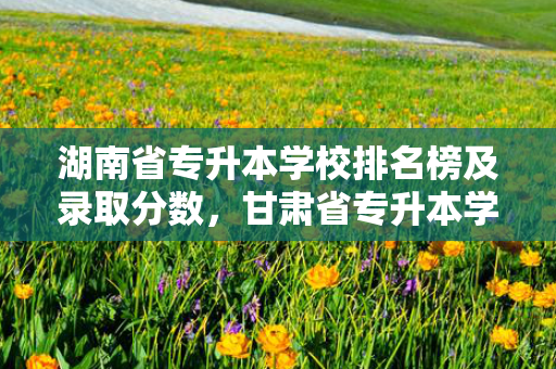 湖南省专升本学校排名榜及录取分数，甘肃省专升本学校排名榜及分数线