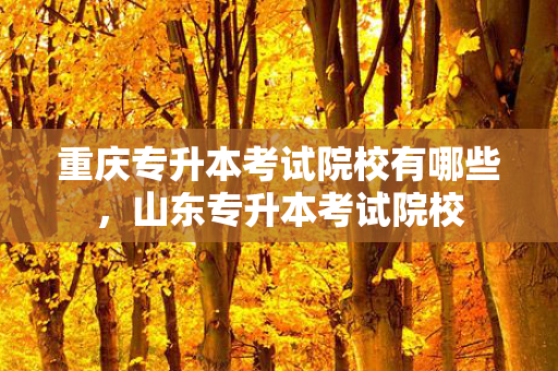 重庆专升本考试院校有哪些，山东专升本考试院校