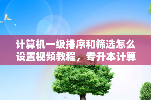 计算机一级排序和筛选怎么设置视频教程，专升本计算机课程视频教程