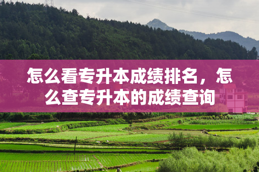 怎么看专升本成绩排名，怎么查专升本的成绩查询