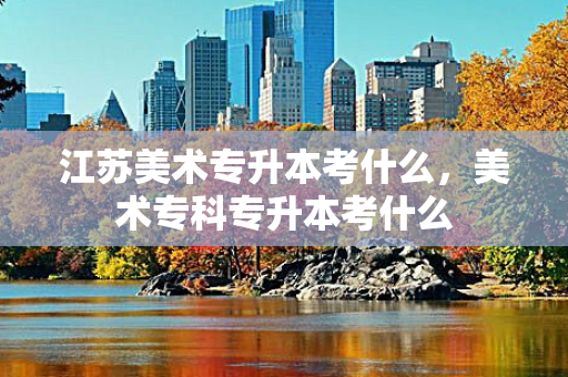 江苏美术专升本考什么，美术专科专升本考什么