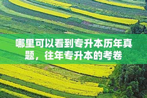 哪里可以看到专升本历年真题，往年专升本的考卷