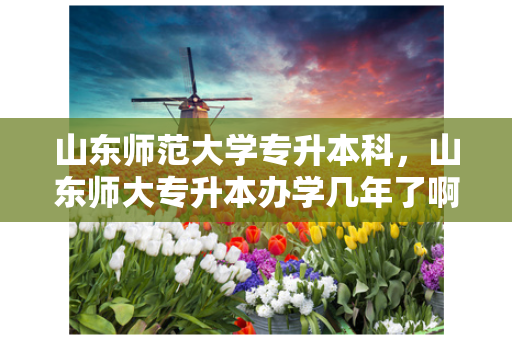 山东师范大学专升本科，山东师大专升本办学几年了啊