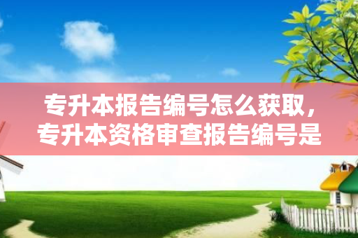 专升本报告编号怎么获取，专升本资格审查报告编号是什么