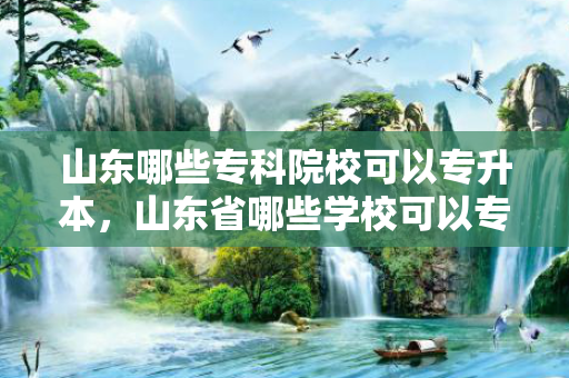 山东哪些专科院校可以专升本，山东省哪些学校可以专升本考试