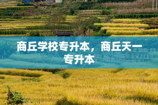 商丘学校专升本，商丘天一专升本