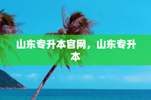山东专升本官网，山东专升本