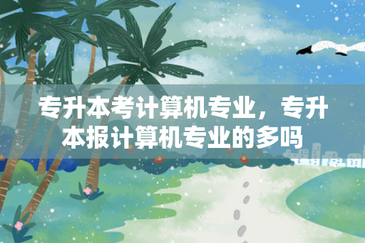 专升本考计算机专业，专升本报计算机专业的多吗