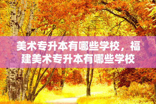 美术专升本有哪些学校，福建美术专升本有哪些学校