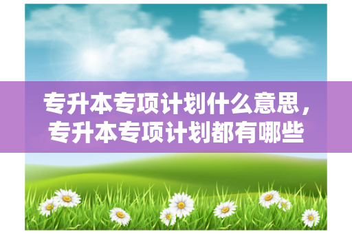 专升本专项计划什么意思，专升本专项计划都有哪些