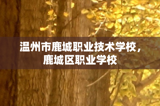 温州市鹿城职业技术学校，鹿城区职业学校