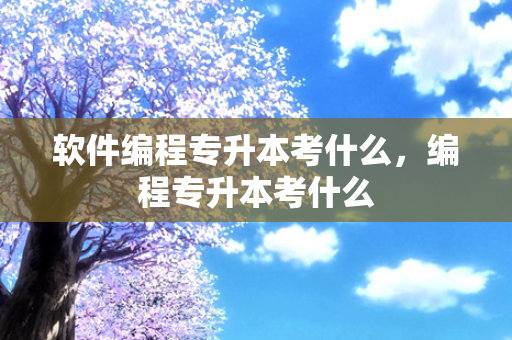 软件编程专升本考什么，编程专升本考什么